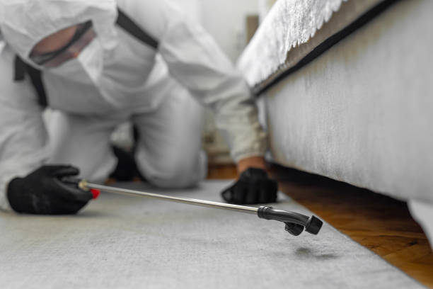 Professional Termite Control technician working in Republic, WA