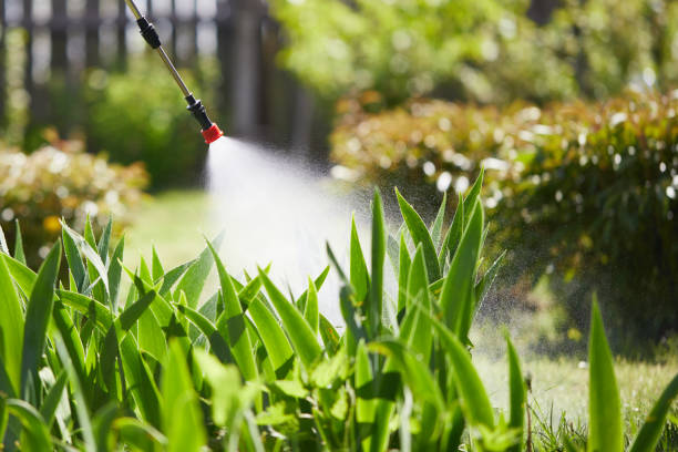 24/7 Emergency Termite Control experts in Republic, WA